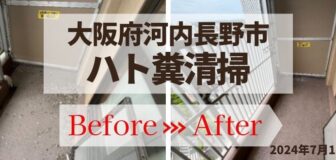 大阪府河内長野市・マンション ベランダ鳩フン清掃の事例　の駆除