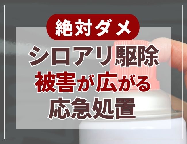 シロアリ駆除の被害が広がる応急処置