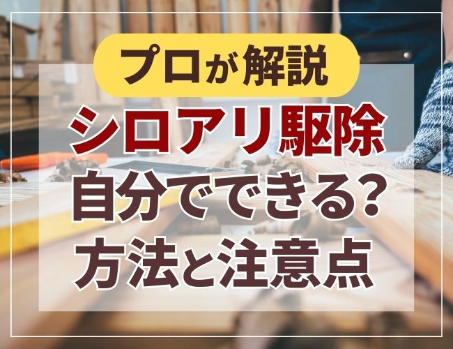 シロアリ駆除自分でできる方法と注意点