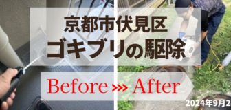 京都市伏見区・マンションのゴキブリ駆除の事例の駆除