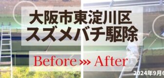 大阪市東淀川区・橋梁下のスズメバチ駆除の事例