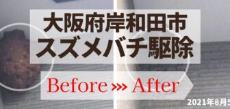 岸和田市・個人宅のスズメバチ駆除の事例の駆除