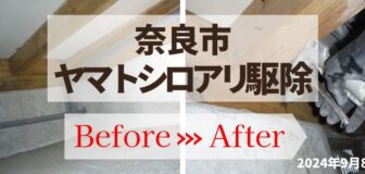 奈良県奈良市・個人宅戸建 ヤマトシロアリ駆除の事例の駆除