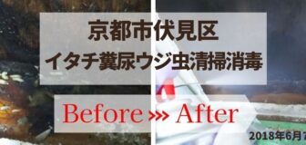 京都市伏見区・個人宅のイタチ糞尿とウジ虫の消毒除菌作業の事例　