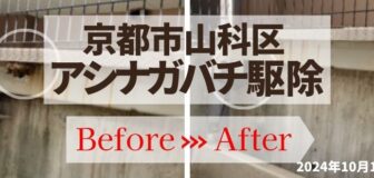 京都市山科区・マンション立体駐車場のアシナガバチ駆除の事例の駆除