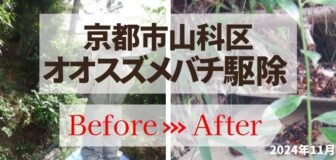 京都市山科区・土の中 オオスズメバチ駆除の事例