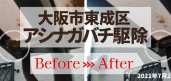 大阪市東成区・個人宅のアシナガバチ駆除の事例　の駆除