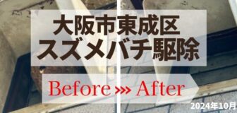 大阪市東成区・空家戸建 外部換気扇中のスズメバチ駆除の事例の駆除