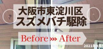 大阪市東淀川区・個人宅のスズメバチ駆除の事例　の駆除