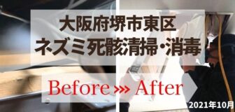 大阪府堺市東区・個人宅のネズミ死骸の消毒作業の事例