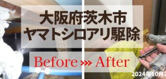 大阪府茨木市・個人宅 ヤマトシロアリ駆除の事例の駆除