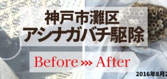 神戸市灘区・マンション（立体駐車場）のアシナガバチ駆除の事例　の駆除