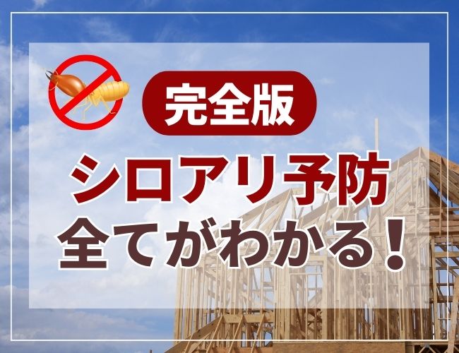 シロアリ予防の全てがわかる