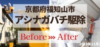 京都府福知山市・施設のアシナガバチ駆除の事例　の駆除