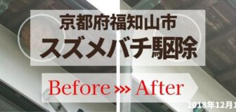 京都府福知山市・軒下のスズメバチ駆除の事例　の駆除