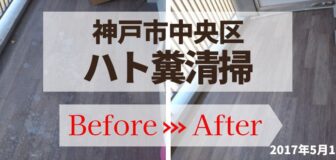 神戸市中央区・マンション（個人宅）の鳩糞清掃と消毒の事例の駆除