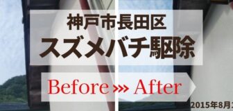 神戸市長田区・個人宅のスズメバチ駆除の事例　の駆除