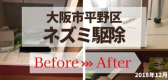 大阪市平野区・個人宅のネズミ駆除・消毒の事例の駆除