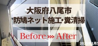 大阪府八尾市・法人ベランダの鳩対策(ネット施工)の事例　の駆除