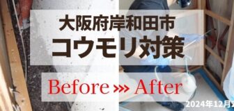 大阪府岸和田市・壁中 イエコウモリ対策の事例　の駆除