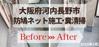 大阪府河内長野市・マンションベランダ 鳩対策(ネット施工)の事例の駆除