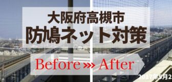 大阪府高槻市・マンション（個人宅）の鳩糞清掃・防鳩ネット施工・消毒の事例の駆除