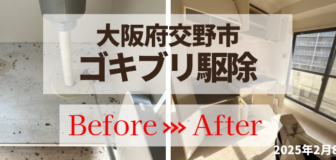 大阪府交野市・マンション空室 ゴキブリ駆除の事例の駆除