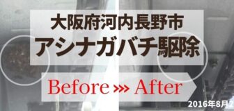 大阪府河内長野市・マンション（立体駐車場）のアシナガバチ駆除の事例　の駆除