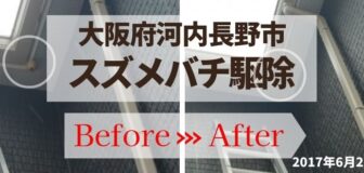 大阪府河内長野市・個人宅のスズメバチ駆除の事例の駆除