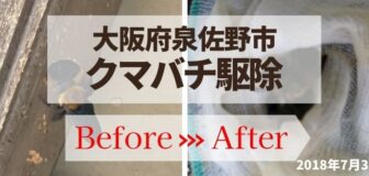 大阪府泉佐野市・個人宅のクマバチ駆除の事例　の駆除