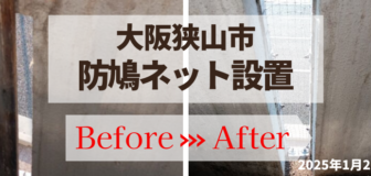 大阪狭山市・マンションベランダ 鳩対策(ネット施工)の事例の駆除