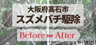 大阪府高石市・マンション敷地内のスズメバチ駆除の事例　