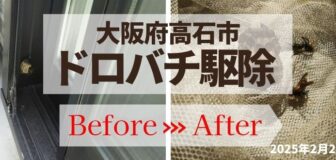 大阪府高石市・戸建個人宅のドロバチ駆除の事例　の駆除