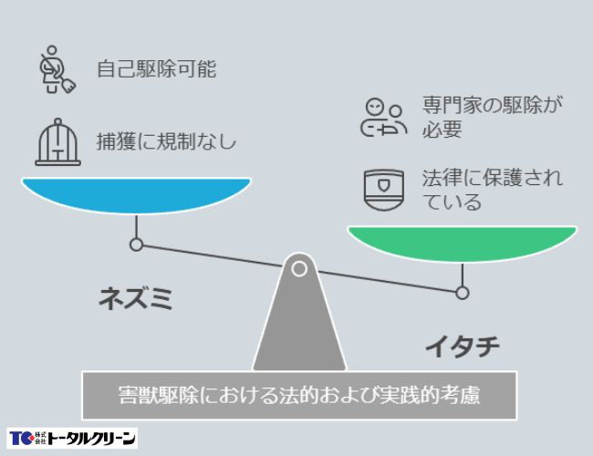 害獣駆除における法的および実践的考慮