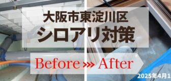 大阪市東淀川区・戸建 シロアリ点検とシロアリ予防工事の事例の駆除
