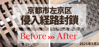 京都市左京区・個人宅戸建  害獣調査および侵入経路封鎖の事例