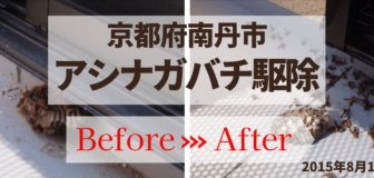 京都府南丹市・個人宅のアシナガバチ駆除の事例　の駆除