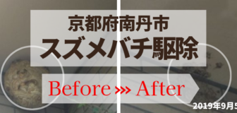 京都府南丹市・個人宅のスズメバチ駆除の事例　の駆除