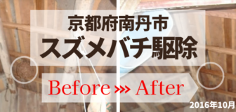 京都府南丹市・個人宅のスズメバチ駆除の事例の駆除