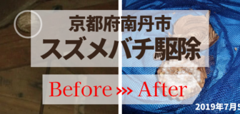 京都府南丹市・宿泊施設のスズメバチ駆除の事例の駆除