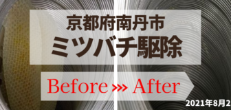 京都府南丹市・個人宅のミツバチ駆除の事例の駆除