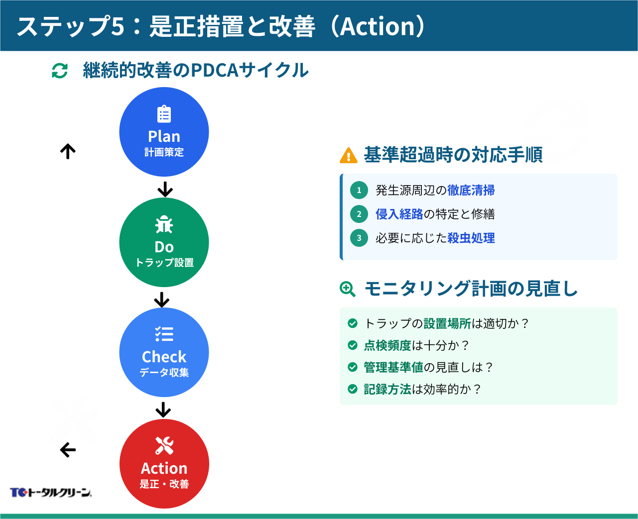 ステップ5：是正措置と改善（Action）