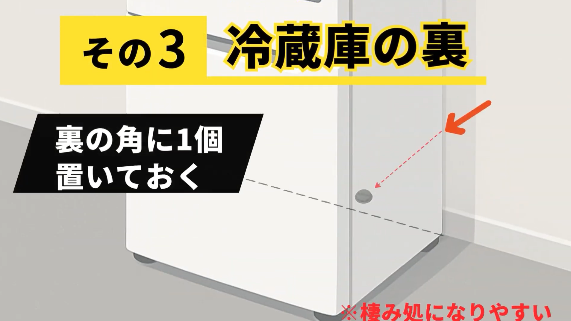ブラックキャップおすすめ設置場所③