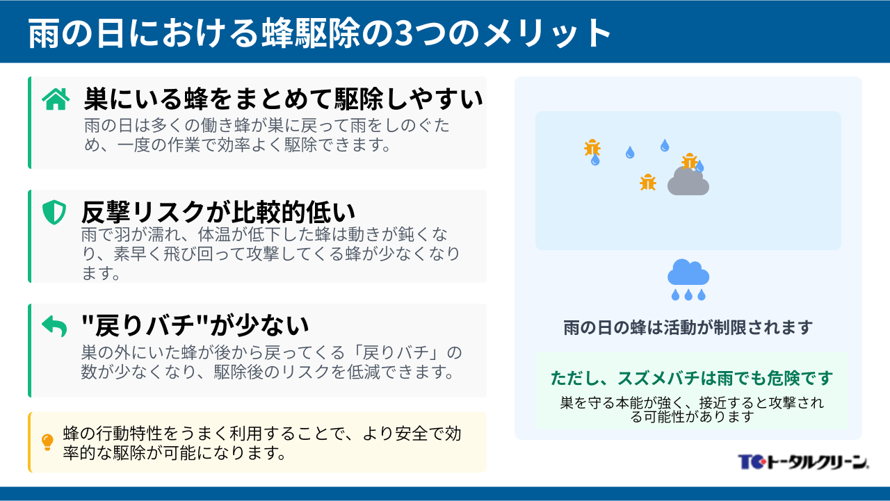 雨の日における蜂駆除の3つのメリット