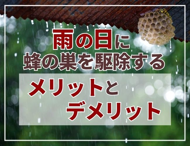 雨の日に蜂の巣を駆除するメリットとデメリット
