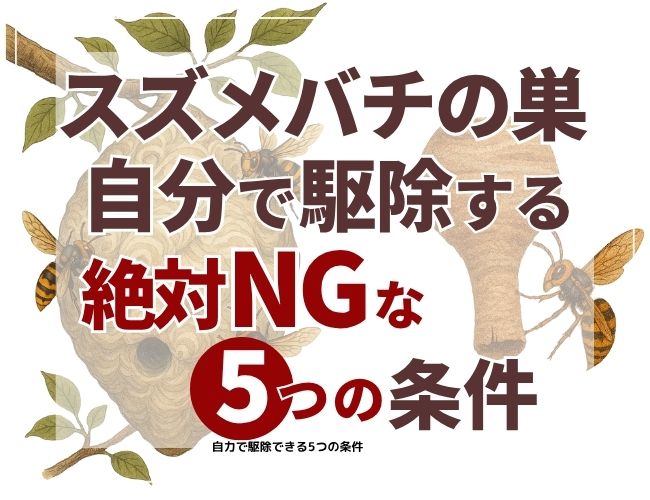 スズメバチの巣自分で駆除する絶対ＮＧな5つの条件