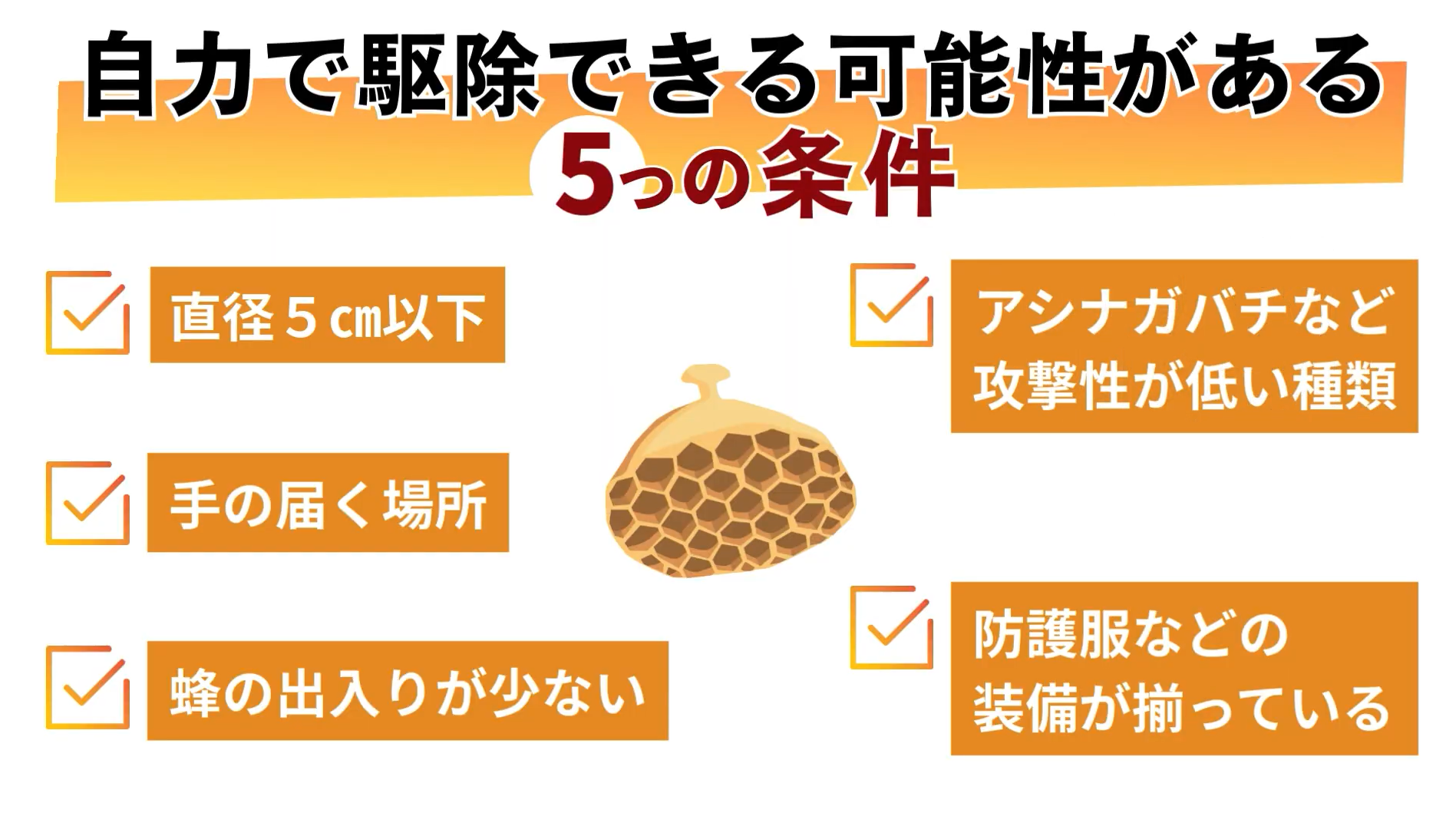 自分で駆除できる可能性がある5つの条件