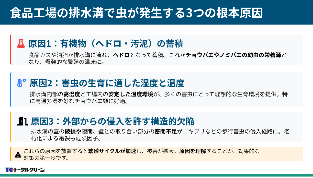 食品工場の排水溝で虫が発生する3つの根本原因