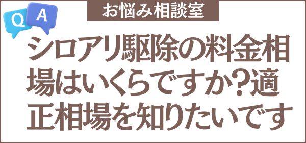 シロアリ駆除の料金相場はいくらですか？一軒家の場合の適正相場がよくわからないです