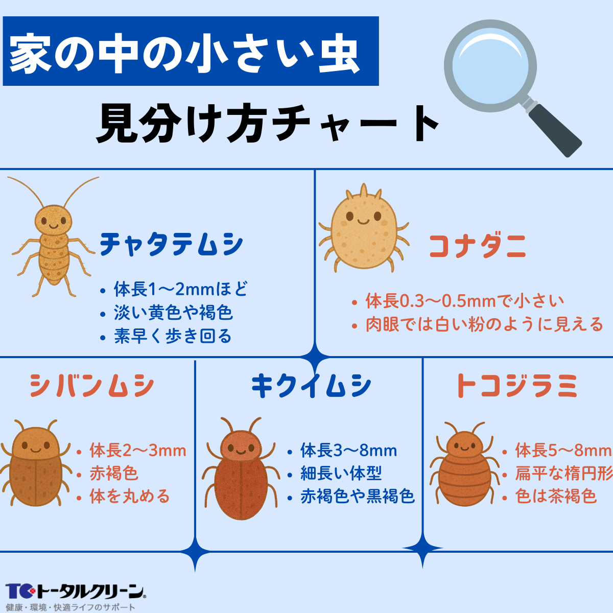 家の中の小さい虫見分け方チャート